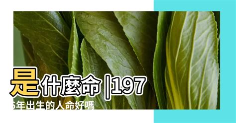 1976年是什麼命